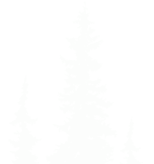 Chương trình trải nghiệm Giáng sinh và Tết dương 2026