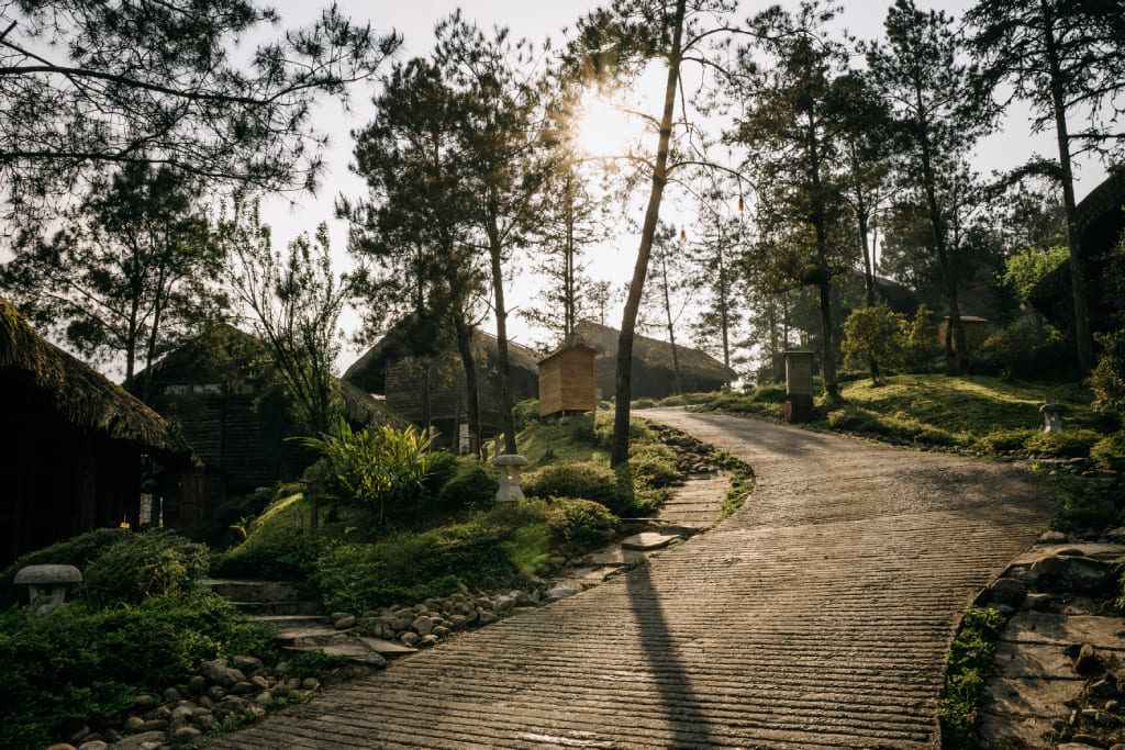 Hành trình sống chậm giữa thiên nhiên