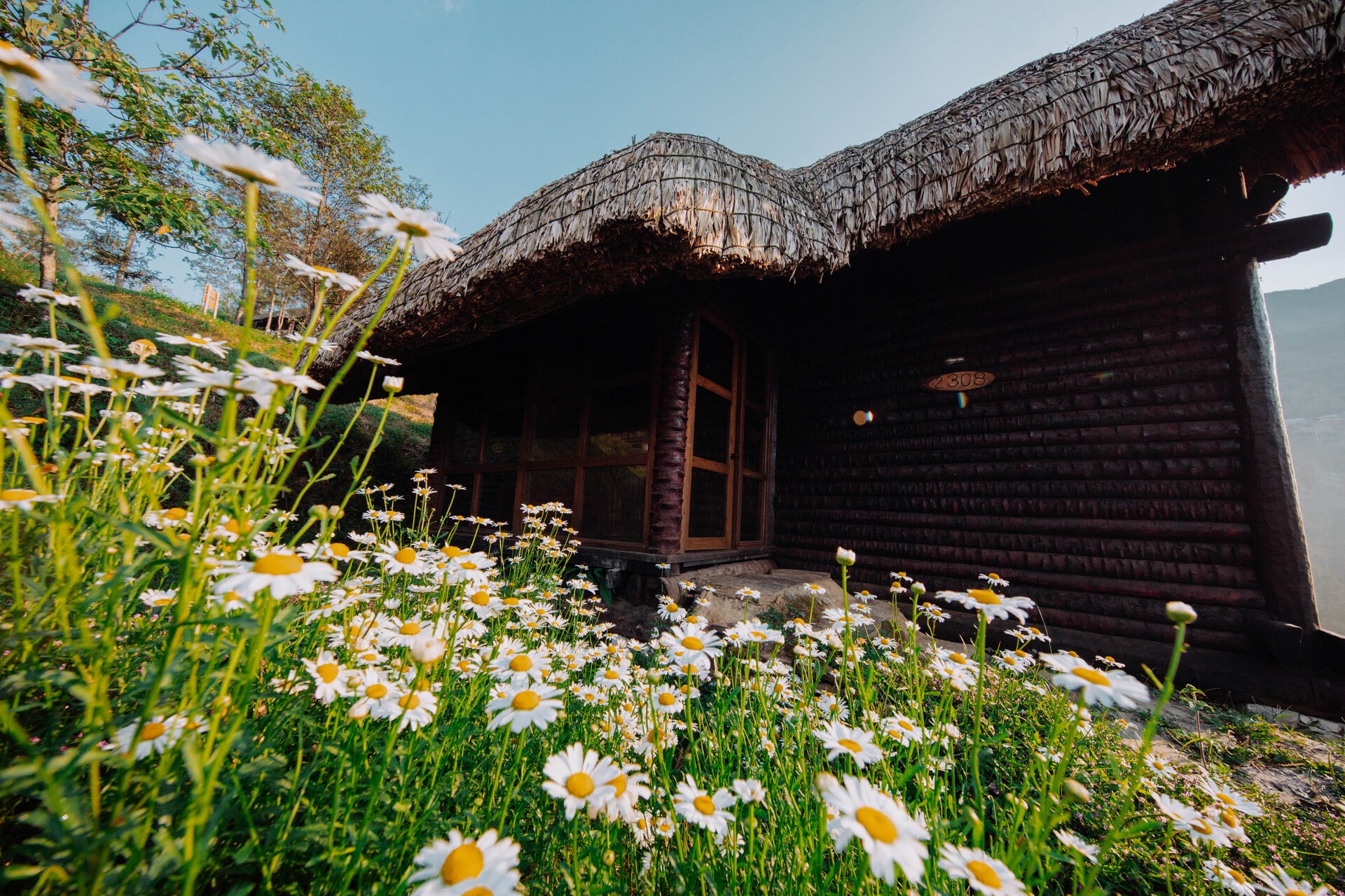 BUNGALOW MOUNTAIN VIEW