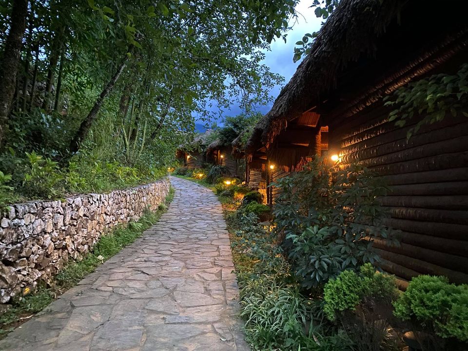 Chương trình trải nghiệm Giáng sinh và Tết dương 2026