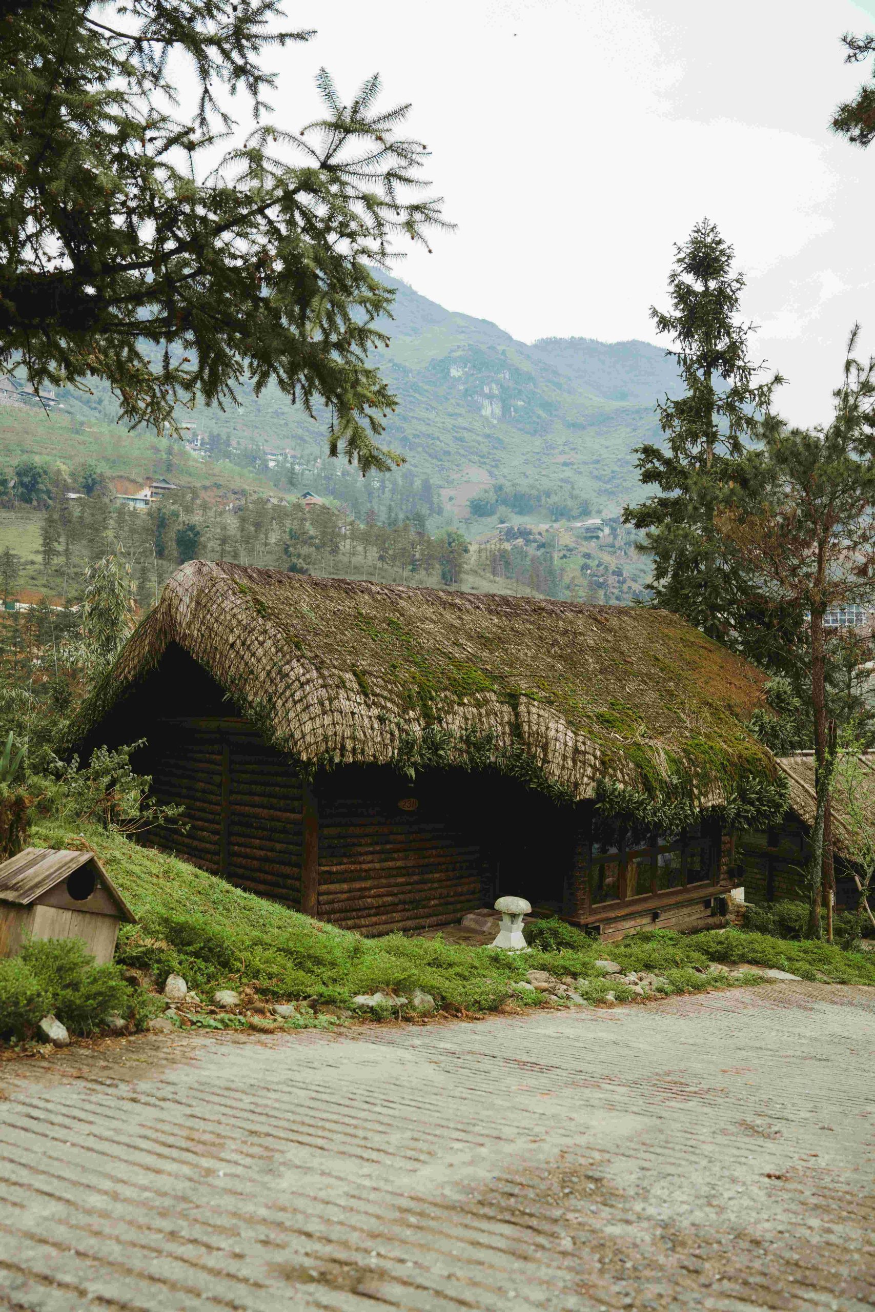 BUNGALOW MOUNTAIN VIEW