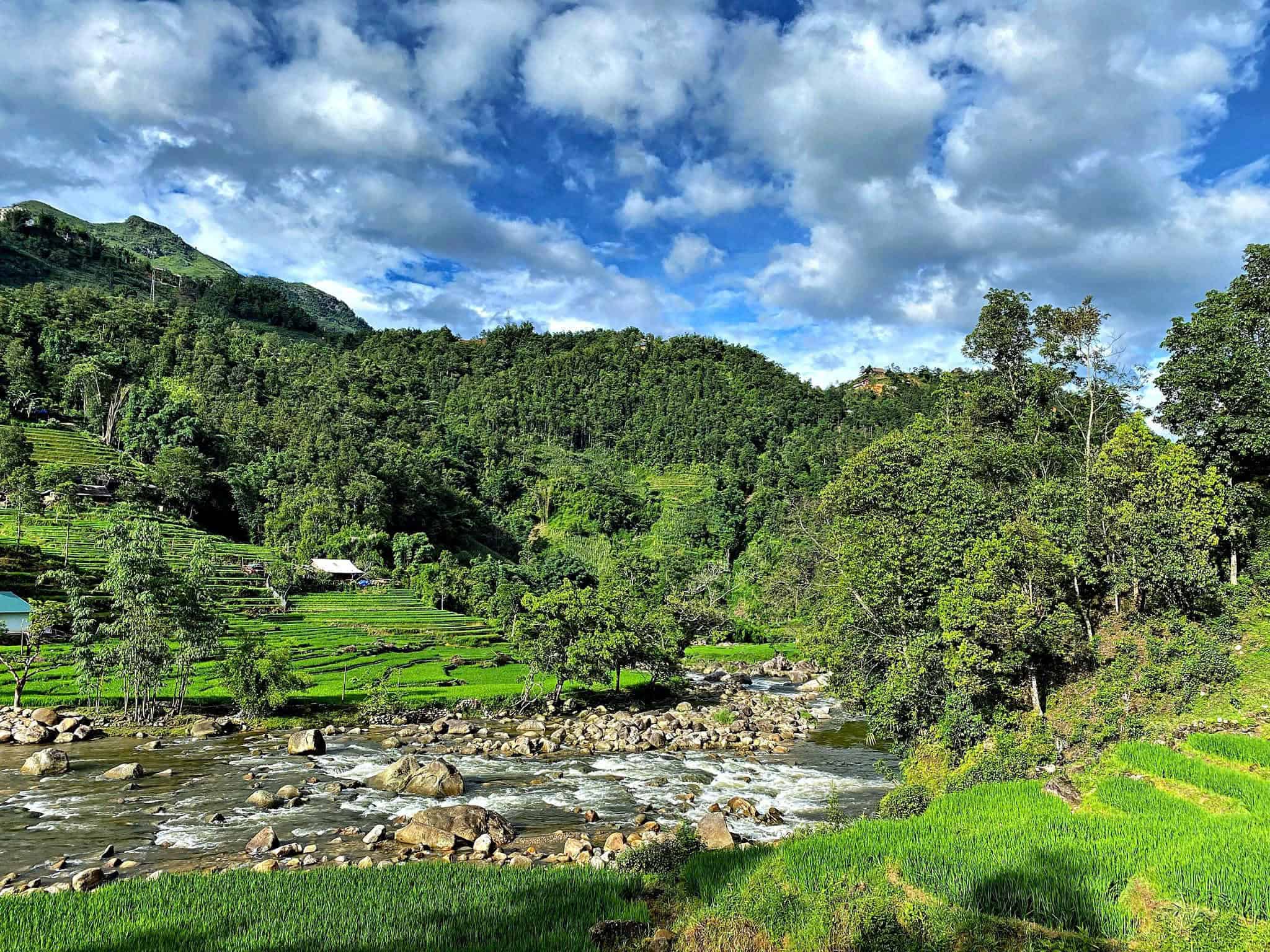 Ruộng bậc thang mùa nước đổ