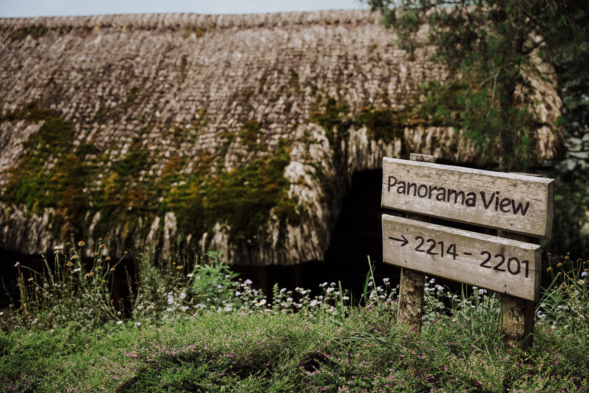 Chương trình trải nghiệm Giáng sinh và Tết dương 2026