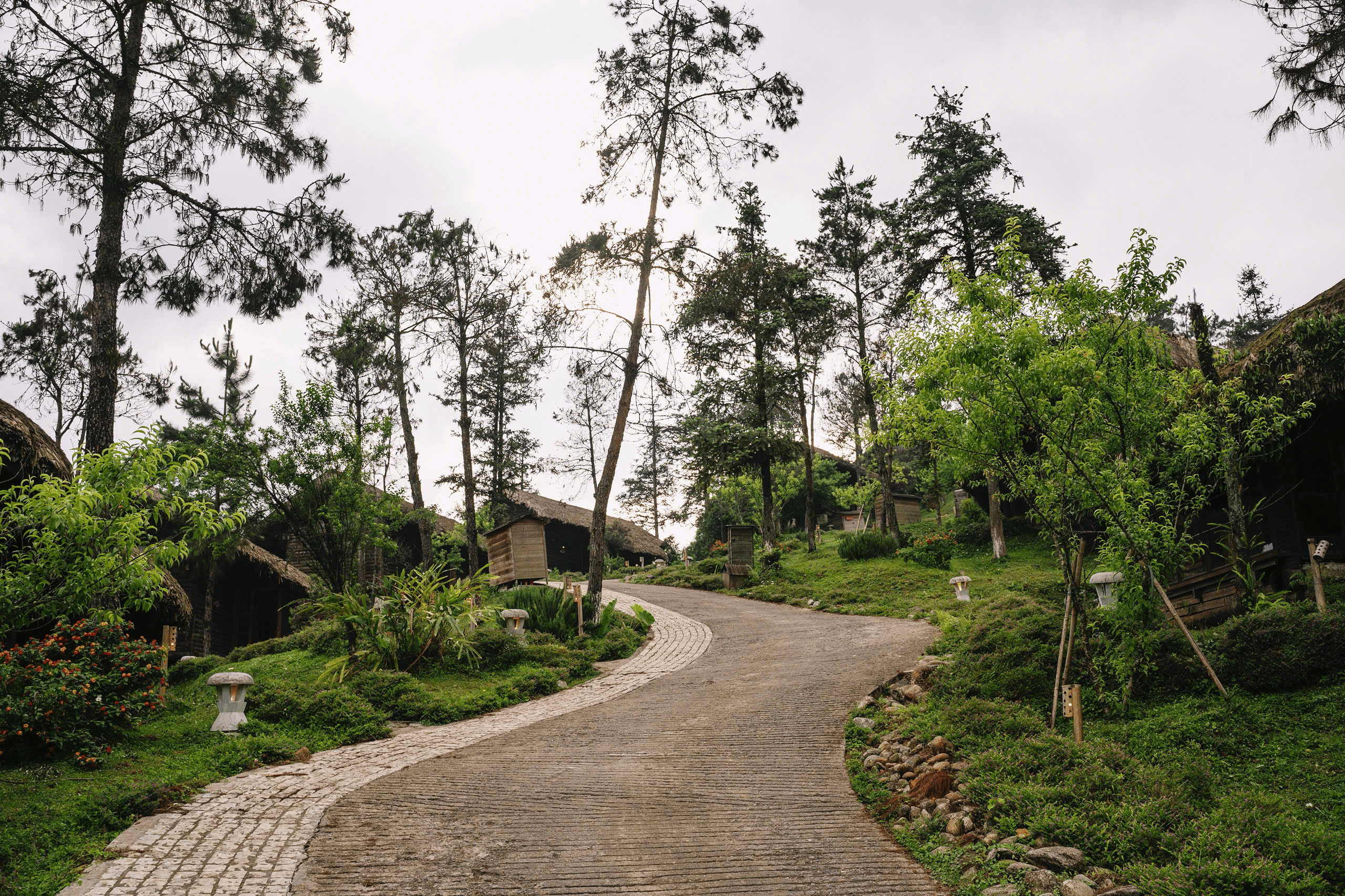 SUMMER REVERIE – A SERENE SUMMER AMID THE VERDANT VILLAGE HUES