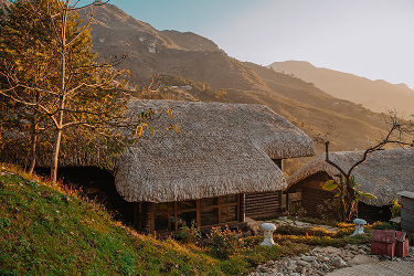 SUMMER REVERIE – A SERENE SUMMER AMID THE VERDANT VILLAGE HUES