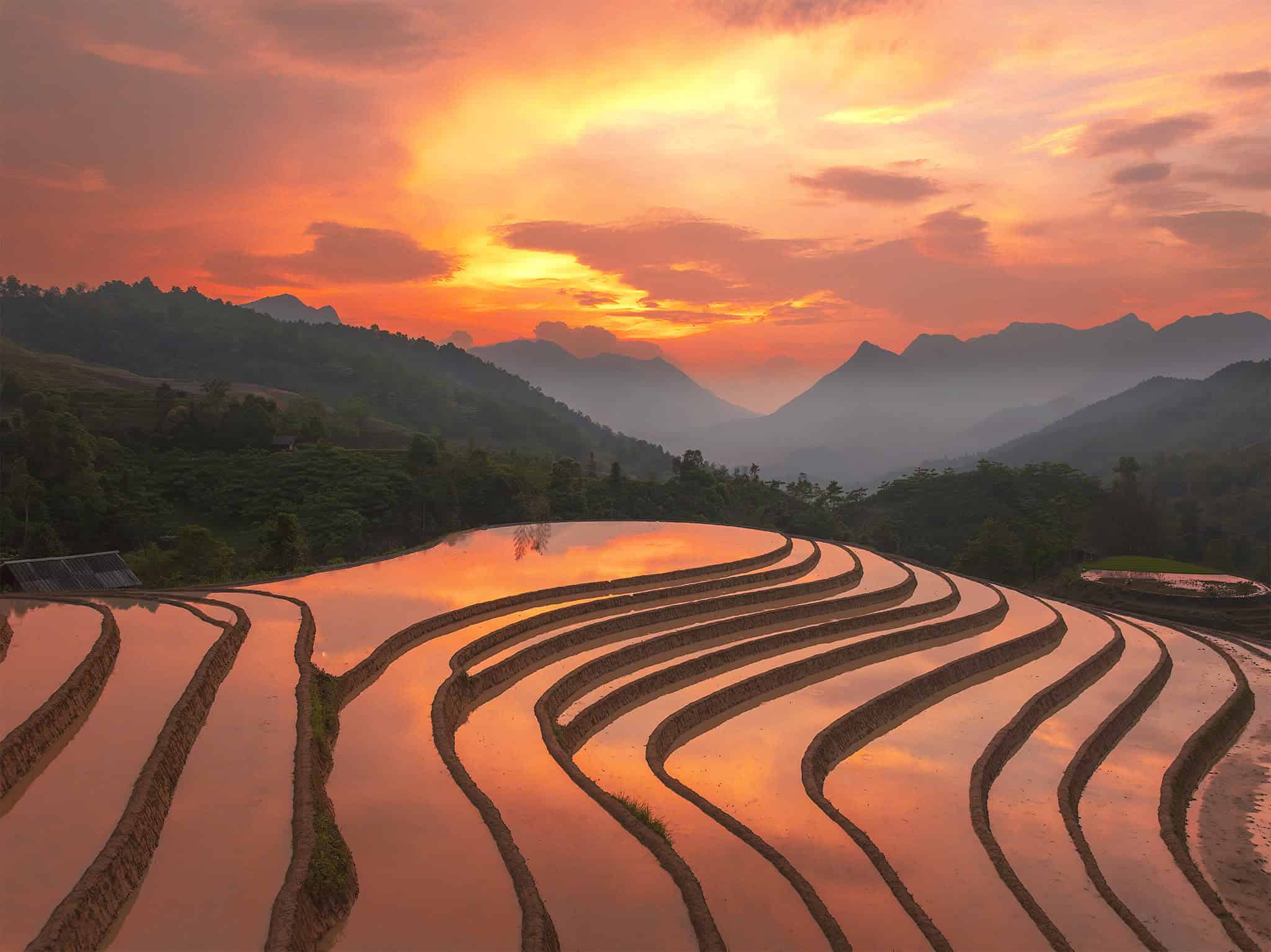 Terraced Fields in the Water Pouring Season – A Natural Masterpiece and Cultural Soul of the Northwestern Highlands